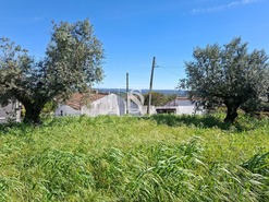 Terreno R�stico T0 - Valhascos, Sardoal, Santar�m - Miniatura: 5/10