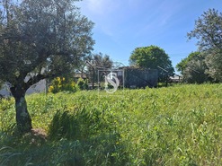 Terreno R�stico T0 - Valhascos, Sardoal, Santar�m - Miniatura: 6/10