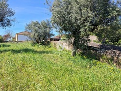 Terreno R�stico T0 - Valhascos, Sardoal, Santar�m - Miniatura: 7/10