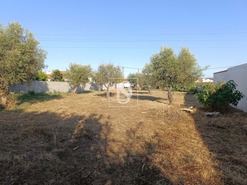 Terreno Rstico T0 - Abrantes, Abrantes, Santarm