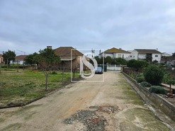 Quinta T3 - Riachos, Torres Novas, Santarm - Miniatura: 3/13