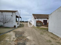 Quinta T3 - Riachos, Torres Novas, Santarm - Miniatura: 4/13