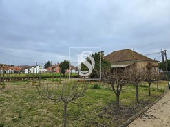 Quinta T3 - Riachos, Torres Novas, Santarm - Miniatura: 5/13