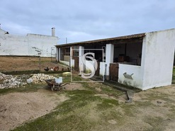 Quinta T3 - Riachos, Torres Novas, Santarm - Miniatura: 6/13