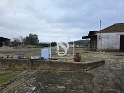 Quinta T3 - Riachos, Torres Novas, Santarm - Miniatura: 9/13