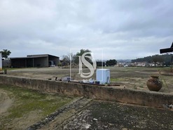 Quinta T3 - Riachos, Torres Novas, Santarm - Miniatura: 10/13