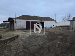 Quinta T3 - Riachos, Torres Novas, Santarm - Miniatura: 11/13