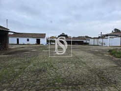 Quinta T3 - Riachos, Torres Novas, Santarm - Miniatura: 12/13