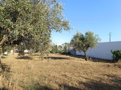 Terreno Rstico T0 - Abrantes, Abrantes, Santarm - Miniatura: 1/11