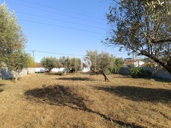 Terreno Rstico T0 - Abrantes, Abrantes, Santarm - Miniatura: 2/11