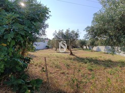 Terreno Rstico T0 - Abrantes, Abrantes, Santarm - Miniatura: 3/11