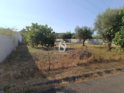 Terreno Rstico T0 - Abrantes, Abrantes, Santarm - Miniatura: 4/11