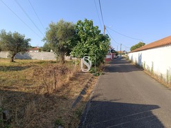 Terreno Rstico T0 - Abrantes, Abrantes, Santarm - Miniatura: 5/11