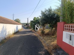 Terreno Rstico T0 - Abrantes, Abrantes, Santarm - Miniatura: 7/11
