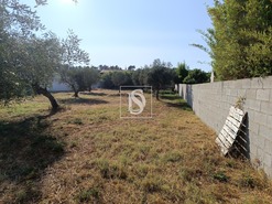 Terreno Rstico T0 - Abrantes, Abrantes, Santarm - Miniatura: 8/11