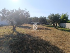 Terreno Rstico T0 - Abrantes, Abrantes, Santarm - Miniatura: 9/11