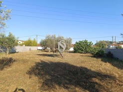 Terreno Rstico T0 - Abrantes, Abrantes, Santarm - Miniatura: 11/11