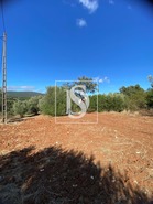 Armaz�m T0 - Alcanena, Alcanena, Santar�m - Miniatura: 5/5