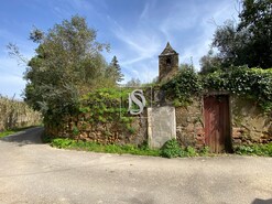 Pr�dio - Torres Novas, Torres Novas, Santar�m - Miniatura: 4/10