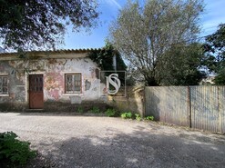 Pr�dio - Torres Novas, Torres Novas, Santar�m - Miniatura: 5/10