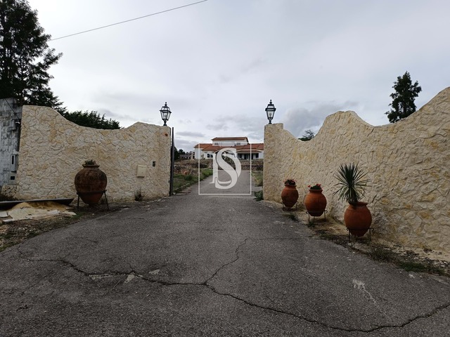 Terreno Rústico - Bemposta, Abrantes, Santarém - Imagem grande