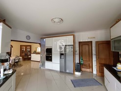 Terreno Rstico - Bemposta, Abrantes, Santarm - Miniatura: 8/52