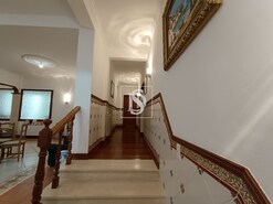 Terreno Rstico - Bemposta, Abrantes, Santarm - Miniatura: 11/52