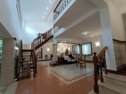 Terreno Rstico - Bemposta, Abrantes, Santarm - Miniatura: 12/52