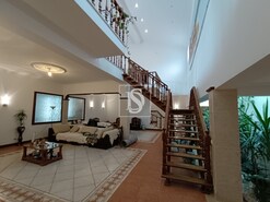 Terreno Rstico - Bemposta, Abrantes, Santarm - Miniatura: 15/52