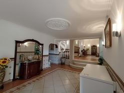 Terreno Rstico - Bemposta, Abrantes, Santarm - Miniatura: 16/52