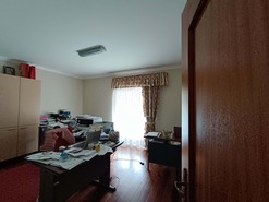 Terreno Rstico - Bemposta, Abrantes, Santarm - Miniatura: 18/52