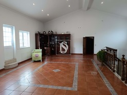 Terreno Rstico - Bemposta, Abrantes, Santarm - Miniatura: 36/52