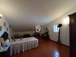 Terreno Rstico - Bemposta, Abrantes, Santarm - Miniatura: 37/52