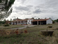 Terreno Rstico - Bemposta, Abrantes, Santarm - Miniatura: 39/52