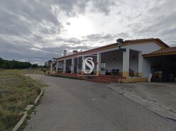 Terreno Rstico - Bemposta, Abrantes, Santarm - Miniatura: 40/52