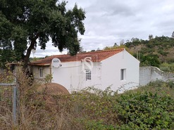 Terreno Rstico - Bemposta, Abrantes, Santarm - Miniatura: 43/52