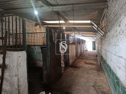 Terreno Rstico - Bemposta, Abrantes, Santarm - Miniatura: 48/52