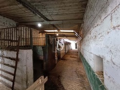 Terreno Rstico - Bemposta, Abrantes, Santarm - Miniatura: 49/52