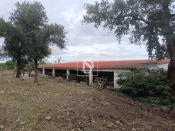 Terreno Rstico - Bemposta, Abrantes, Santarm - Miniatura: 50/52