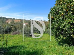 Moradia T3 - Santiago de Montalegre, Sardoal, Santar�m - Miniatura: 13/21