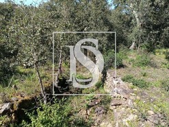 Moradia T3 - Santiago de Montalegre, Sardoal, Santar�m - Miniatura: 14/21