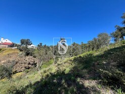 Moradia T3 - Santiago de Montalegre, Sardoal, Santar�m - Miniatura: 15/21