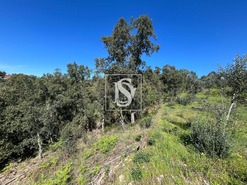 Moradia T3 - Santiago de Montalegre, Sardoal, Santar�m - Miniatura: 16/21