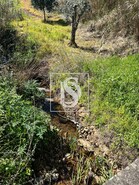 Moradia T3 - Santiago de Montalegre, Sardoal, Santar�m - Miniatura: 19/21