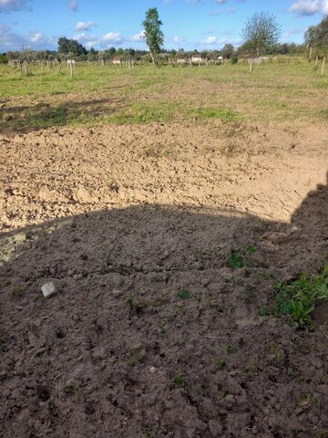 Terreno R�stico T0 - S�o Miguel do Rio Torto, Abrantes, Santar�m - Imagem grande