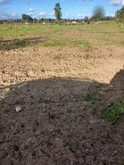 Terreno R�stico T0 - S�o Miguel do Rio Torto, Abrantes, Santar�m