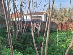 Moradia T1 - Chamusca, Chamusca, Santar�m - Miniatura: 6/9