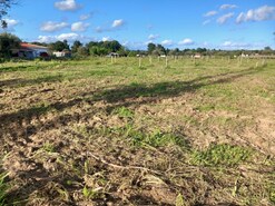 Terreno R�stico T0 - S�o Miguel do Rio Torto, Abrantes, Santar�m - Miniatura: 2/2