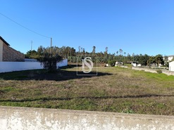 Terreno Rstico T0 - Bemposta, Abrantes, Santarm - Miniatura: 1/7