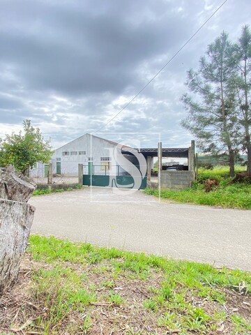 Armazm T0 - Meia Via, Torres Novas, Santarm - Imagem grande